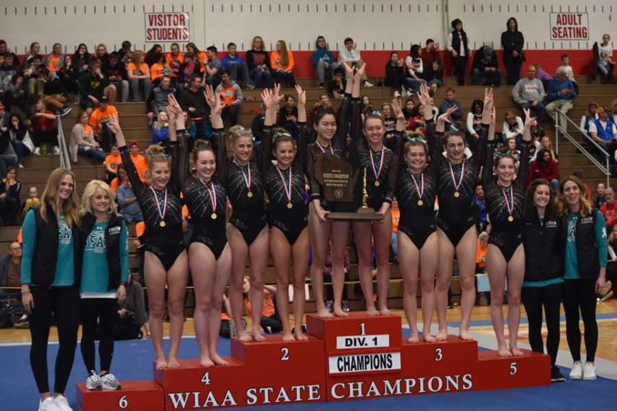 Gymnastics Takes Home Another Win